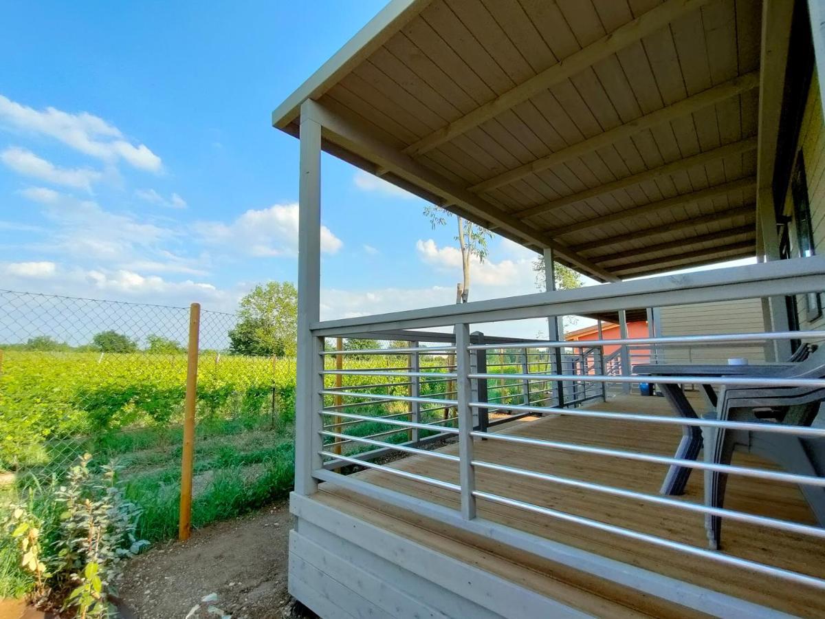 Garda Di Vino Agricamping & Wine Shop Lazise Ronchi  Εξωτερικό φωτογραφία