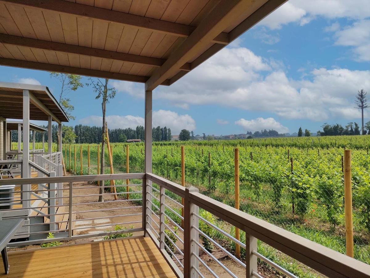 Garda Di Vino Agricamping & Wine Shop Lazise Ronchi  Εξωτερικό φωτογραφία